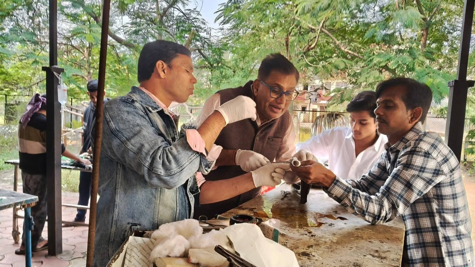 कोबरा के सिर पर लगे 80 टांके ...और बच गई जान, क्यों सांप को बचाने एकजुट हुए लोग? जानें पूरा मामला